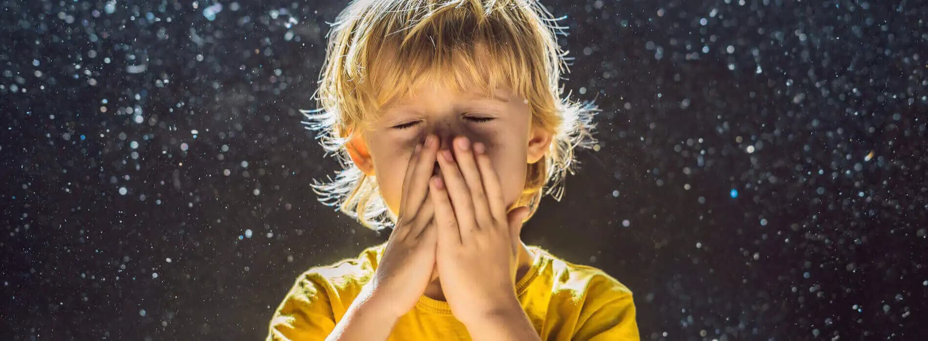 Przeczytaj o alergii na roztocza czyli największym problemie alergików