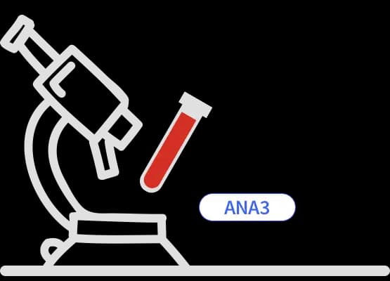 ANA3 met. immunoblot (16 antygenów)