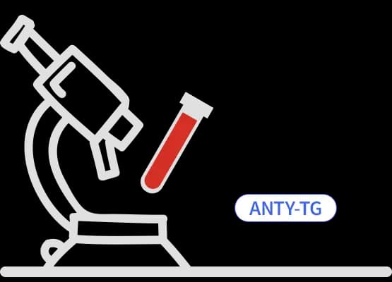 Anty-TG – przeciwciała przeciwko tyreoglobulinie