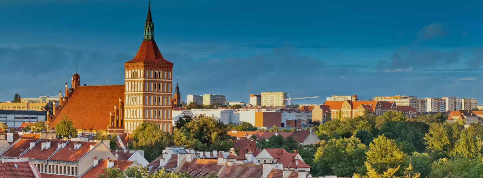 Badania genetyczne Olsztyn  - gdzie wykonać badanie w Olsztynie?