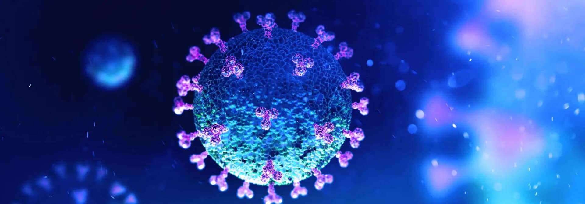 Jak wzmocnić odporność na koronawirusa?