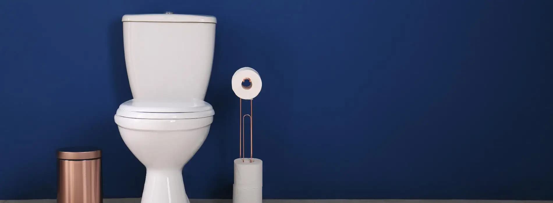 Escherichia coli - bakteria o dwóch obliczach