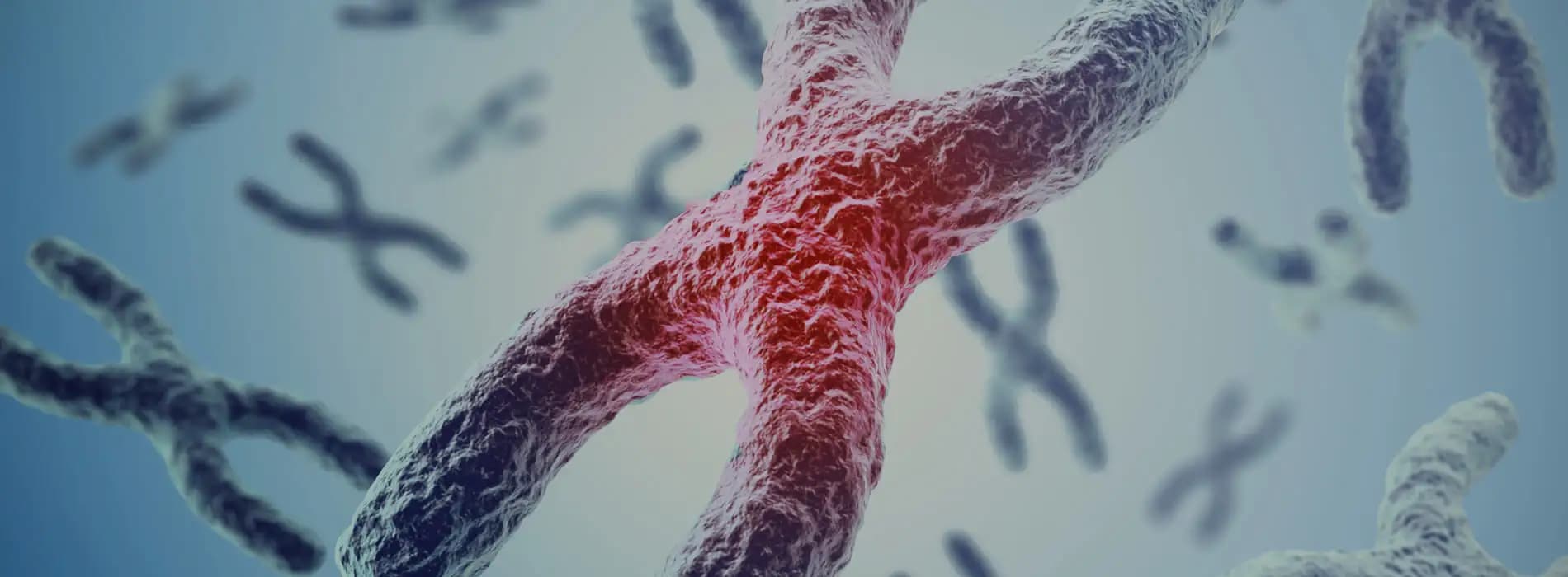 Gdzie zrobić badanie kariotypu?