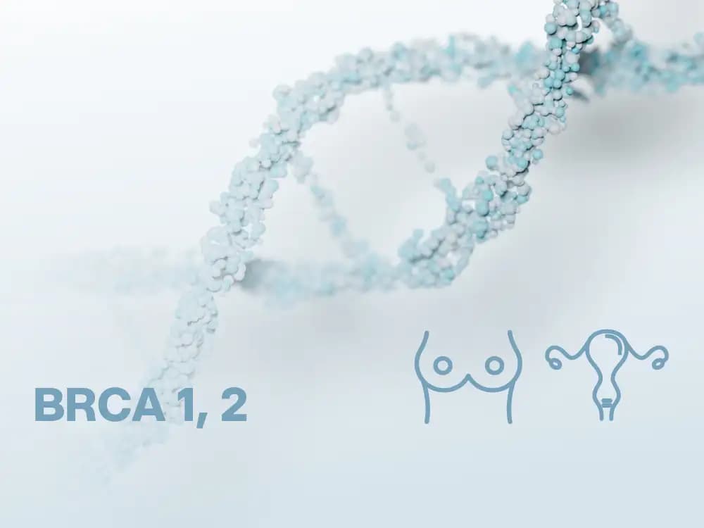 Rak piersi i jajnika – geny BRCA1 i BRCA2 metodą NGS (sekwencjonowanie nowej generacji)