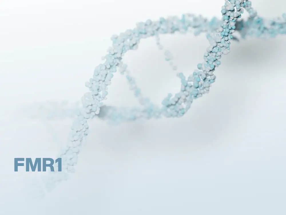 Zespół łamliwego chromosomu X - prescreening