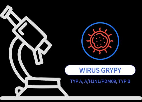 Grypa typ A, A/H1N1/pdm09, typ B – badanie metodą real-time PCR