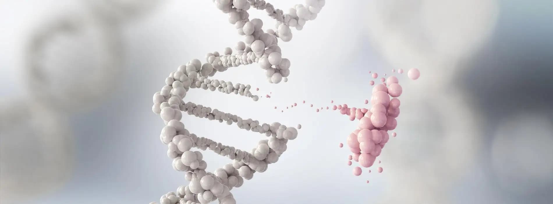 Ile kosztują testy DNA?