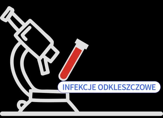 Badanie kleszcza - Panel infekcji odkleszczowych