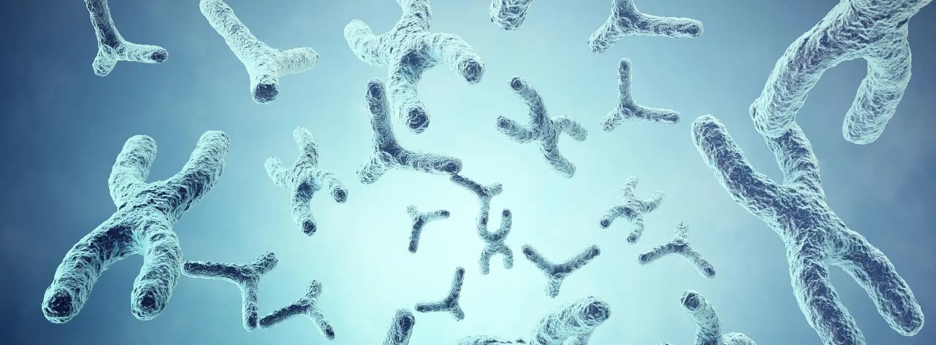 Kariotyp - na czym polega badanie kariotypu?