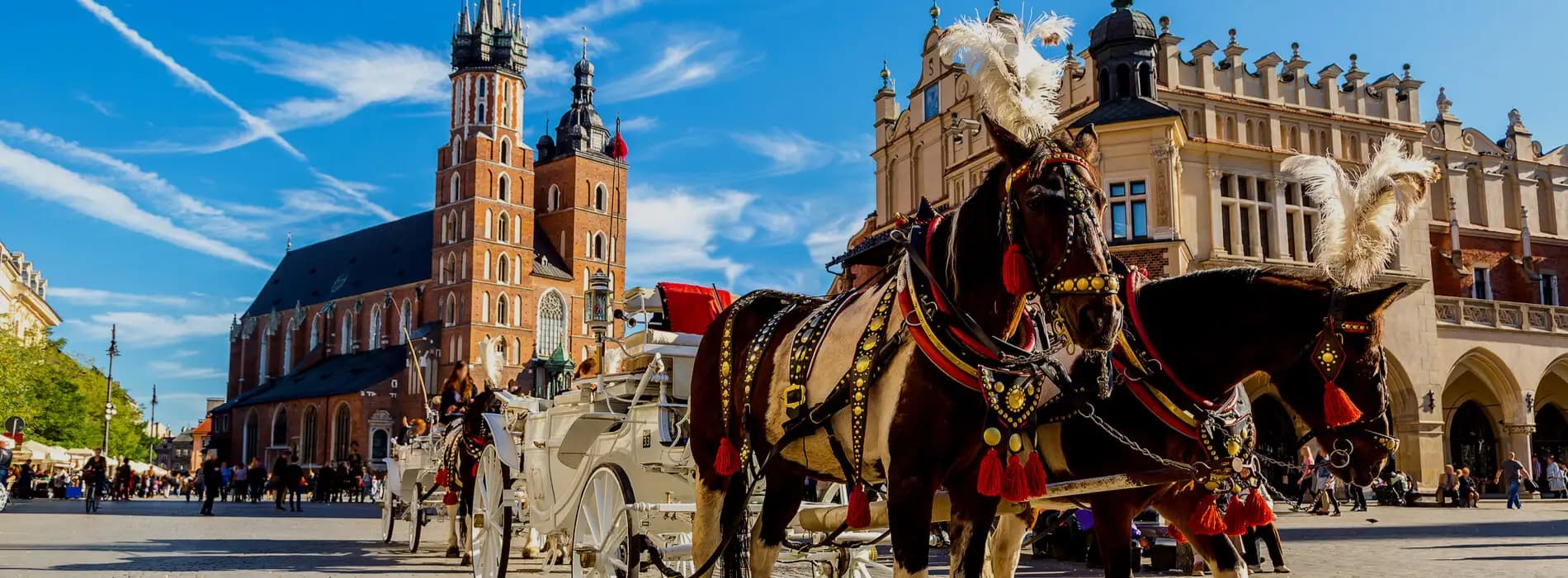 Kariotyp Kraków - gdzie wykonać badanie w Krakowie?