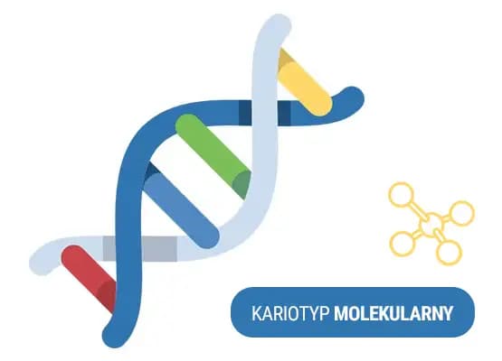 Kariotyp molekularny