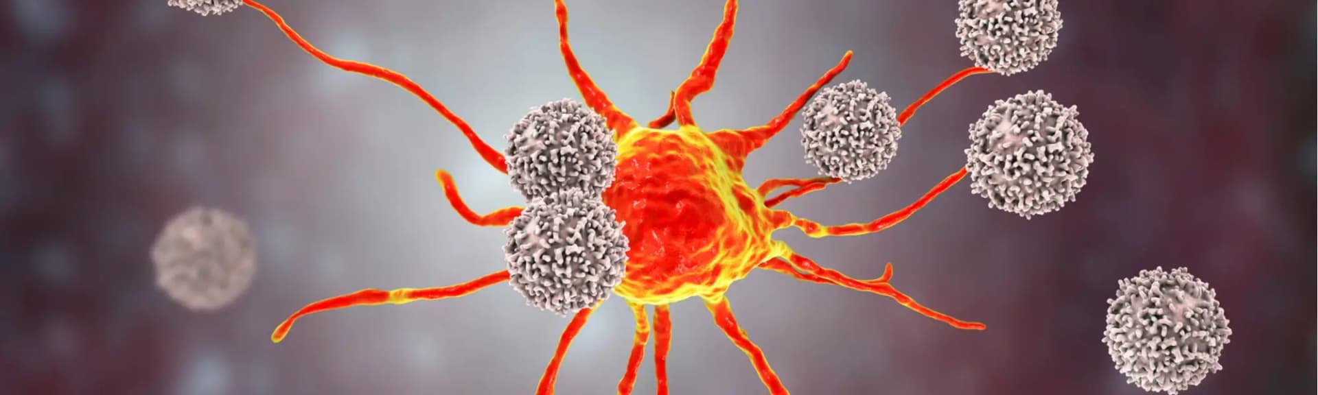 Limfocyty poniżej normy lub podwyższone – co to oznacza?