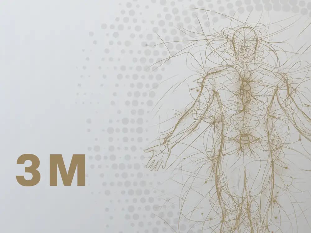 Program Membership Longevity+ - 3 miesiące