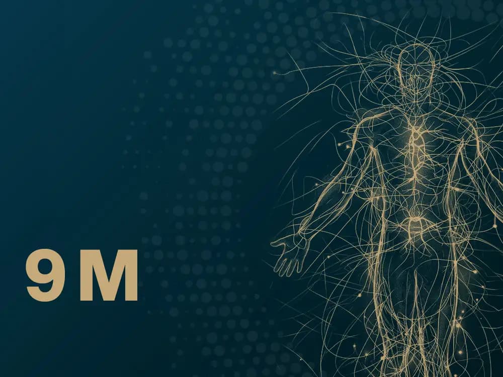 Program Membership Longevity+ - 9 miesięcy