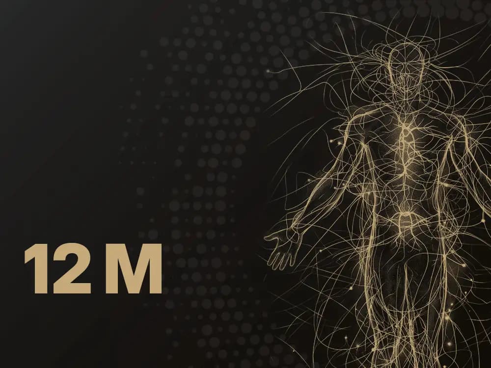 Program Membership Longevity+ - program roczny