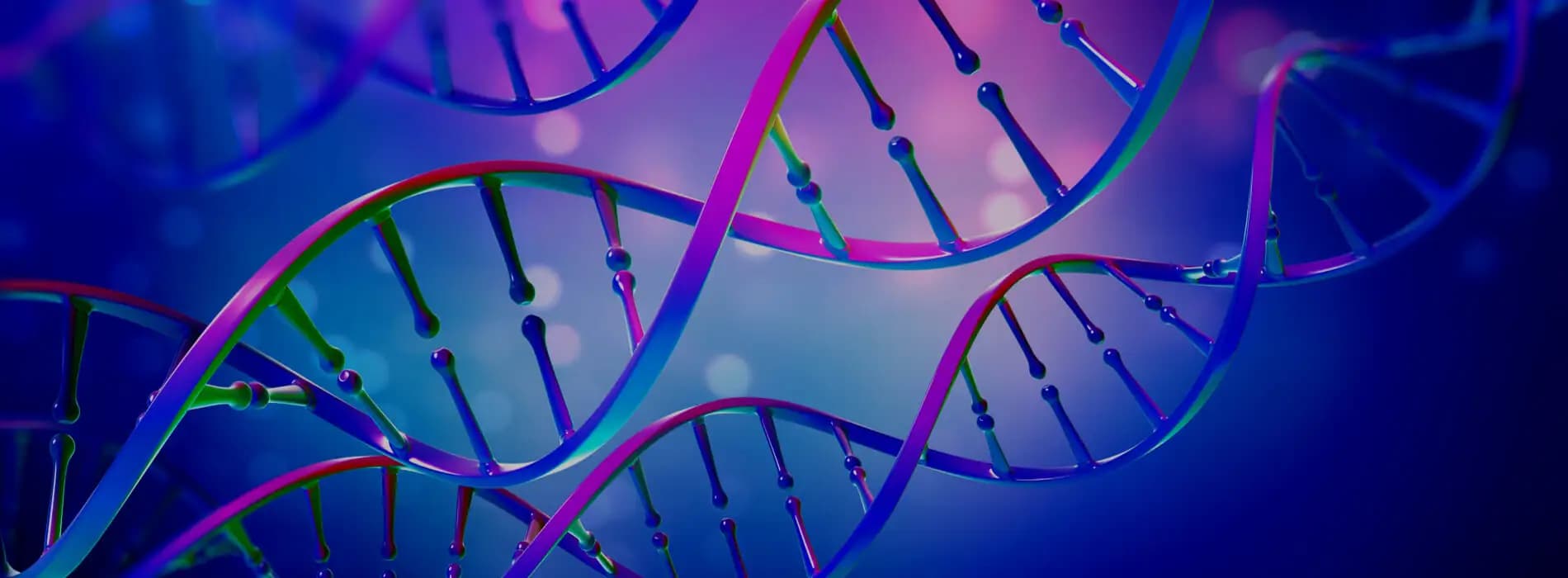 Mutacja genu MTHFR - na czym polega ? Jaki ma wpływ na ciążę?