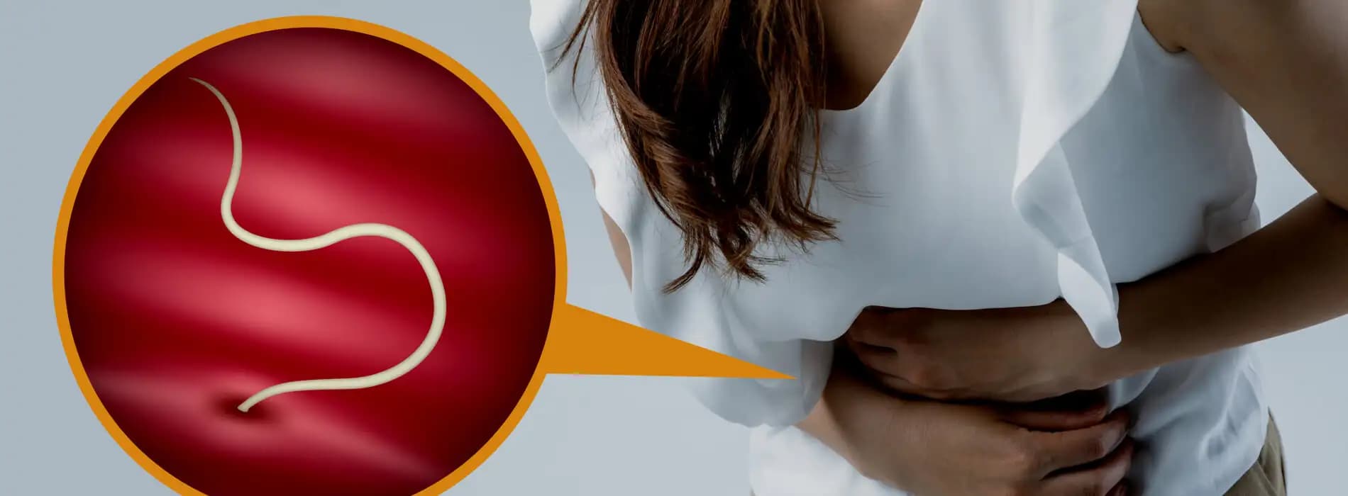 Jakie są najczęstsze pasożyty jelitowe?