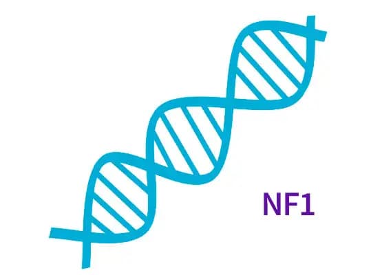 Nerwiakowłókniakowatość typu 1 - badanie genu NF1