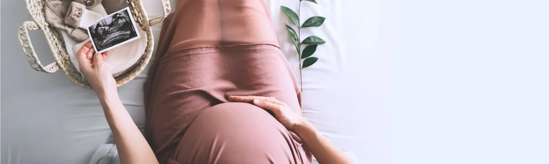 Gdzie zrobić test NIFTY?