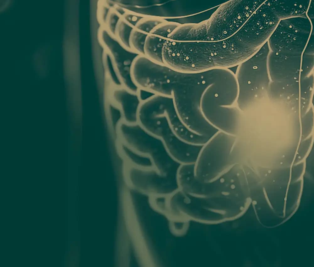 values-background-image