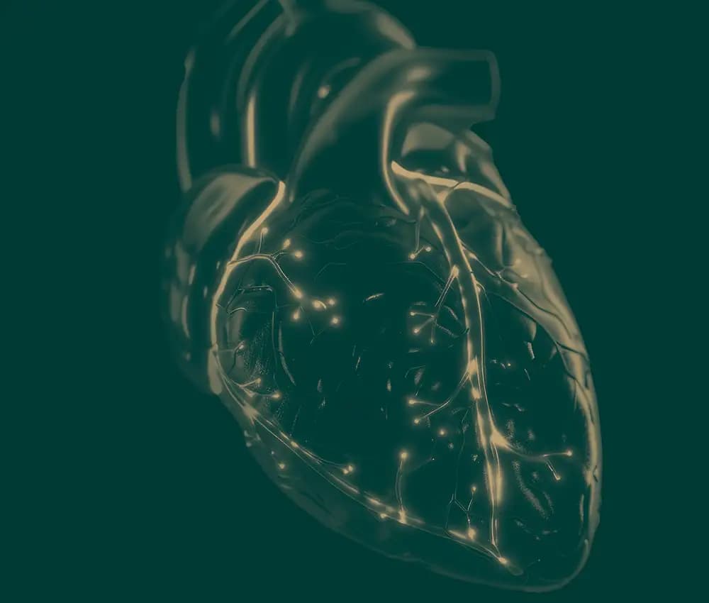 values-background-image