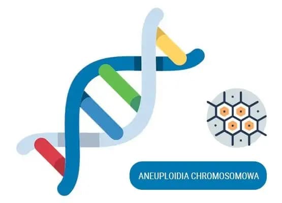Badanie materiału z poronienia – badanie aneuploidii chromosomowych
