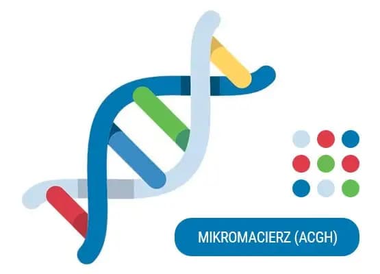 Badanie materiału z poronienia metodą mikromacierzy (aCGH)