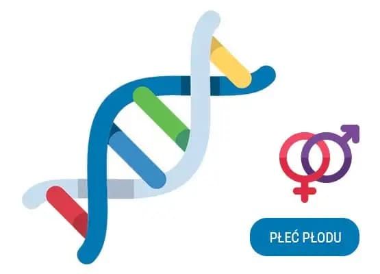 Badanie materiału z poronienia – określenie płci płodu