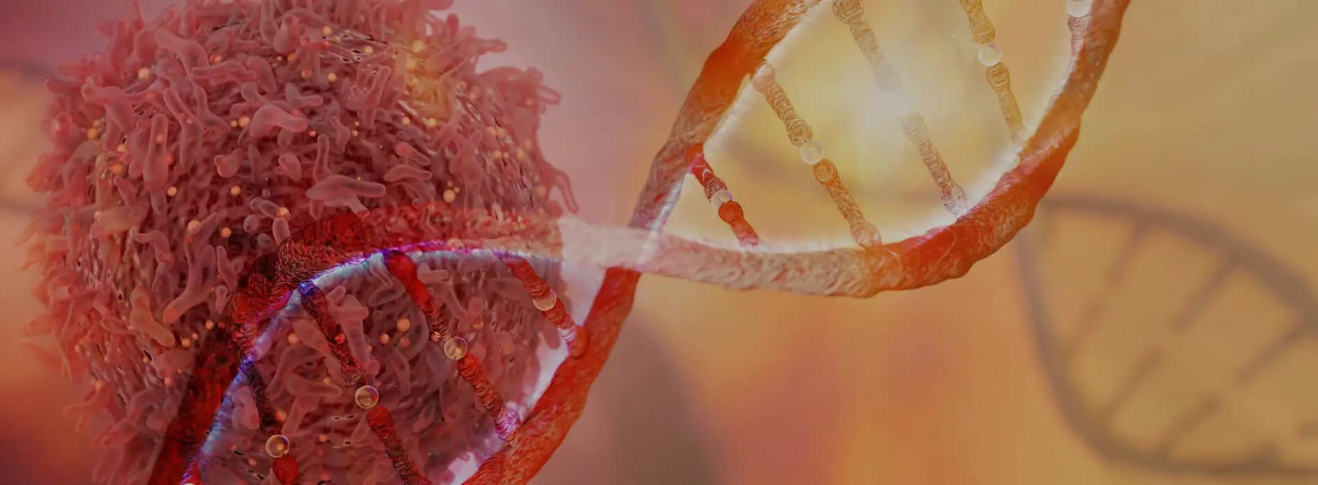 Predyspozycje genetyczne do rozwoju raka