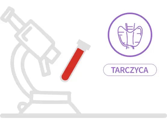 FT3 – wolna frakcja trójjodotyroniny