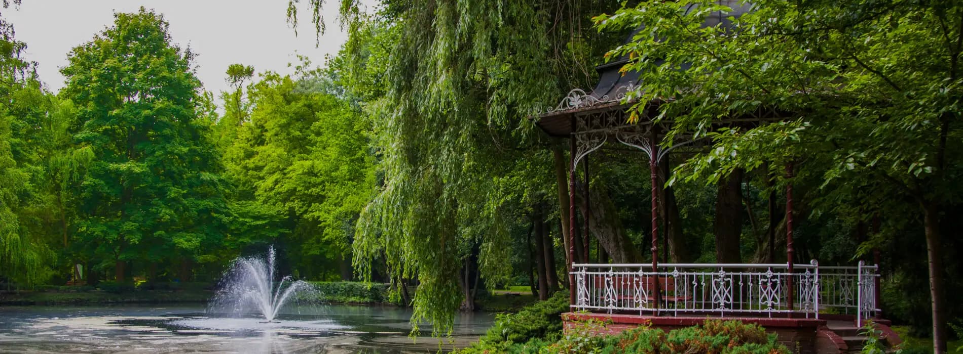 Testy na nietolerancje pokarmowe Piła - gdzie wykonać?