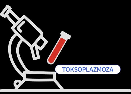 Toksoplazmoza - awidność