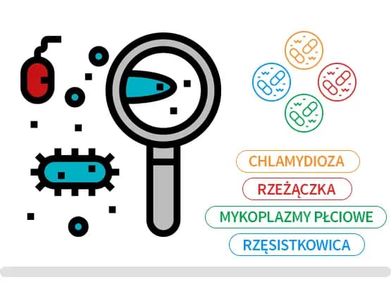 Pakiet badań na infekcje intymne - wirus HPV i 7 innych patogenów, dla kobiet, realizacja wysyłkowa