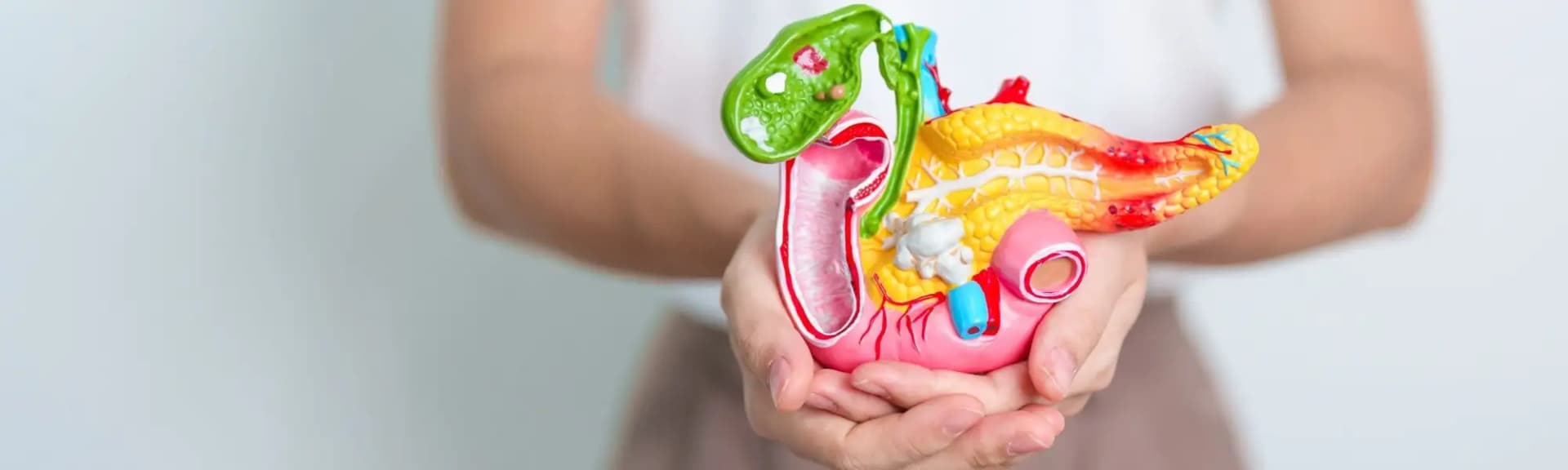 Woreczek żółciowy - funkcje, budowa i najczęstsze schorzenia