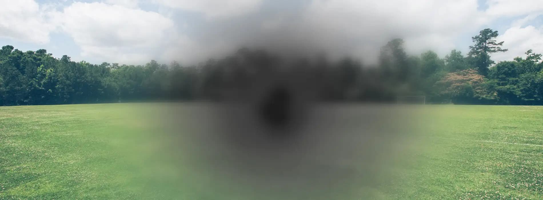 dowiedz się więcej o zwyrodnieniu plamki żółtej