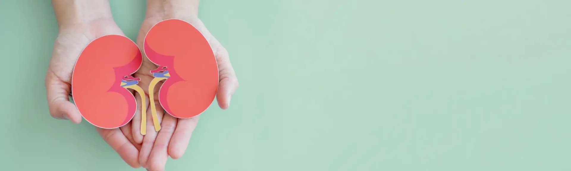 Zespół hemolityczno-mocznicowy — co to? Objawy, przyczyny, profilaktyka