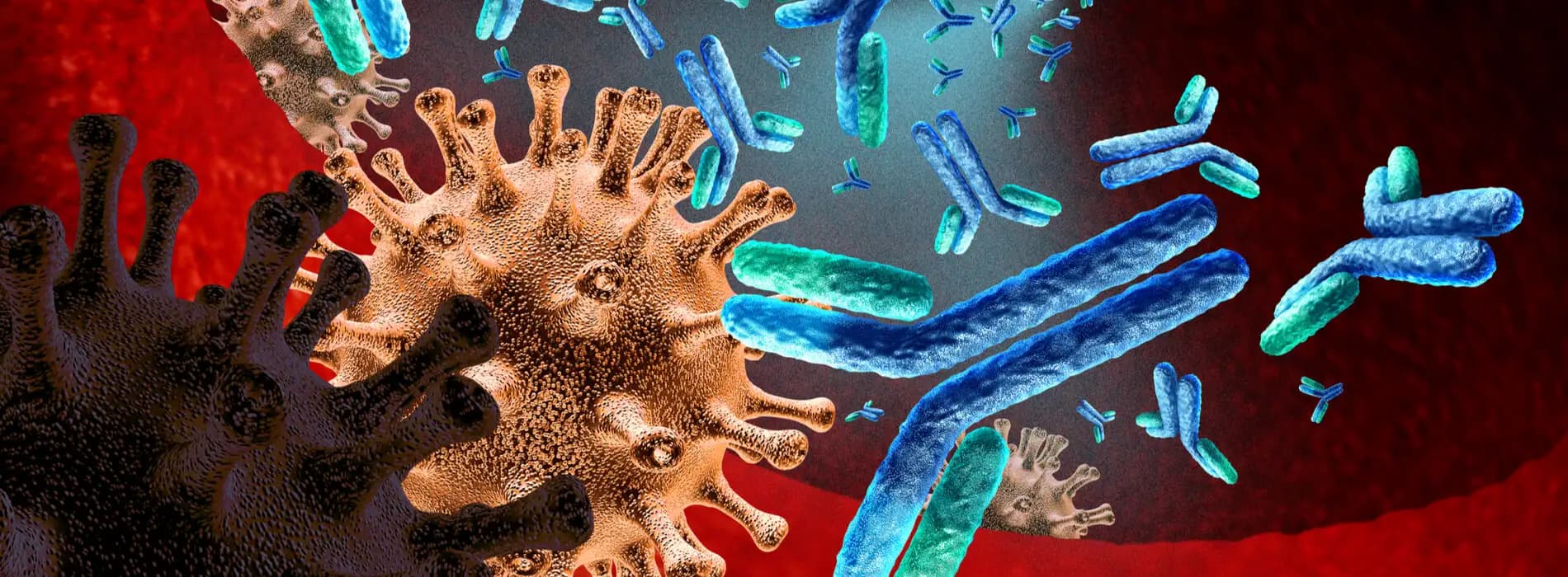 Immunoglobuliny IgG a nietolerancje pokarmowe