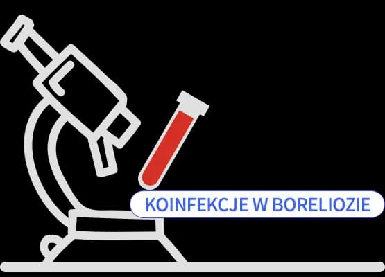 Koinfekcje boreliozy