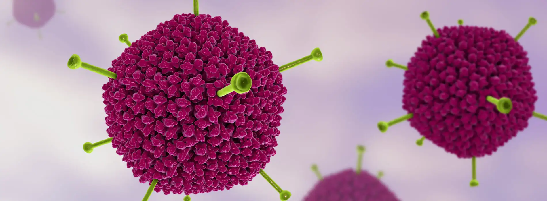 Co to jest adenowirus?