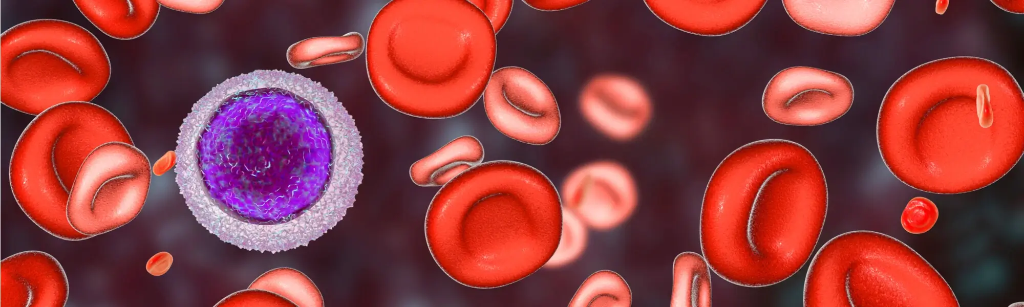 PDW - co oznacza i dlaczego może być podwyższone lub obniżone