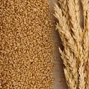 Gluten - czy naprawdę to dla mnie problem?