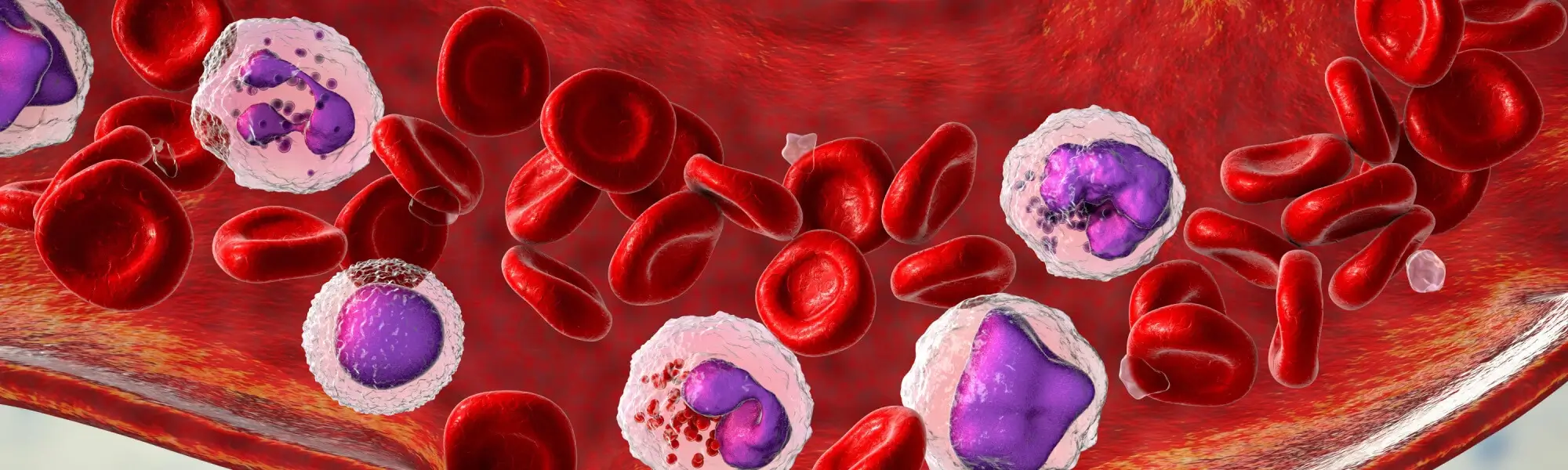 Bazofile (BASO) - czym są? Podwyższone lub za niskie, przyczyny?