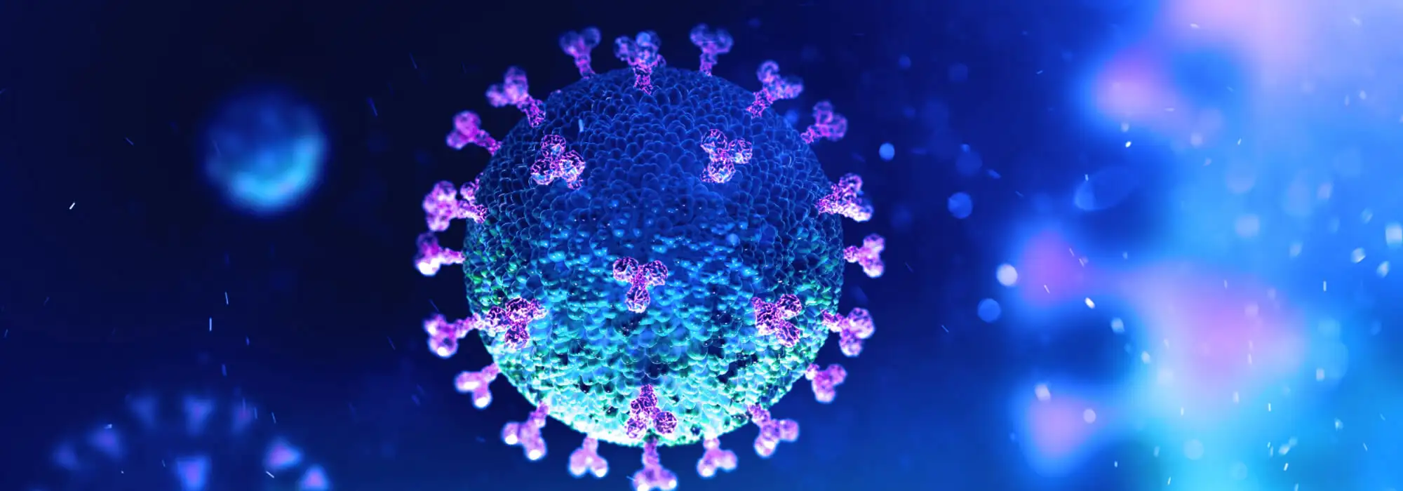 Jak wzmocnić odporność na koronawirusa?