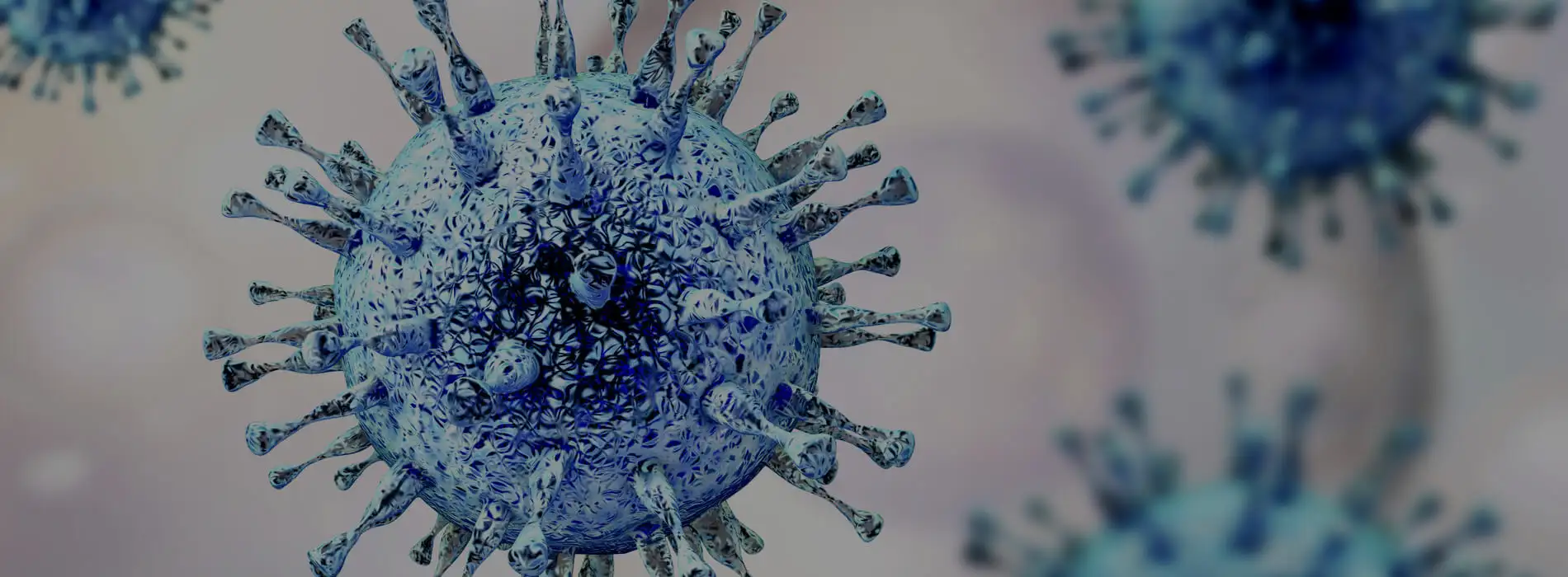 Objawy i diagnostyka cytomegalii, czyli choroby powodowanej przez cytomegalowirusa (CMV)