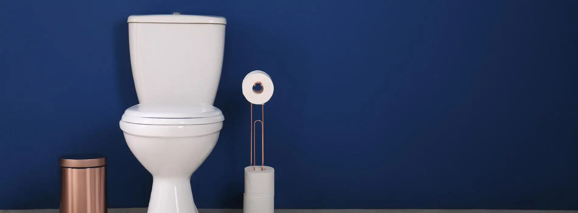 Escherichia coli - bakteria o dwóch obliczach