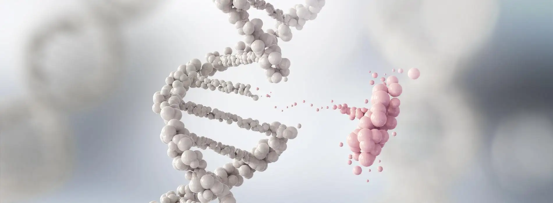 Ile kosztują testy DNA?