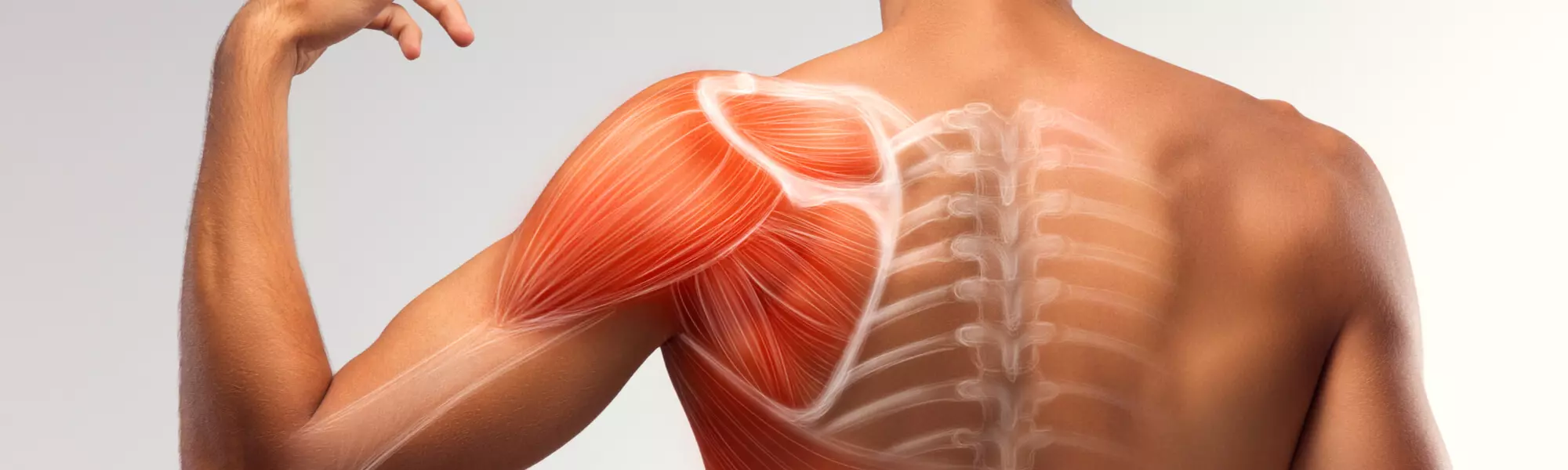 Sterydy anaboliczne - co to jest,  skutki uboczne, lista najczęściej stosowanych