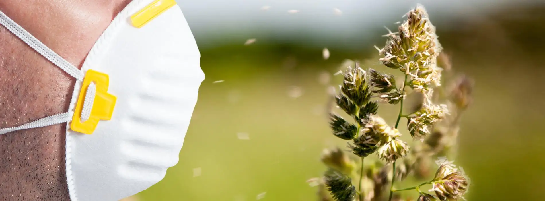 Jakie mogą występować objawy alergii?