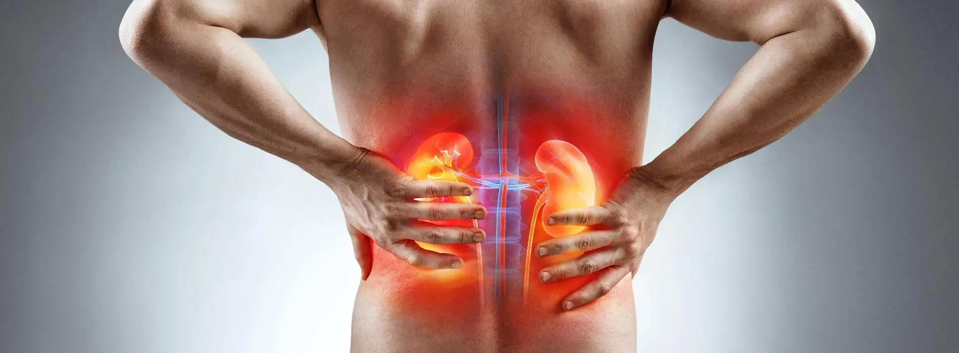 Rak nerki - badania wykrywające go we wczesnym stadium