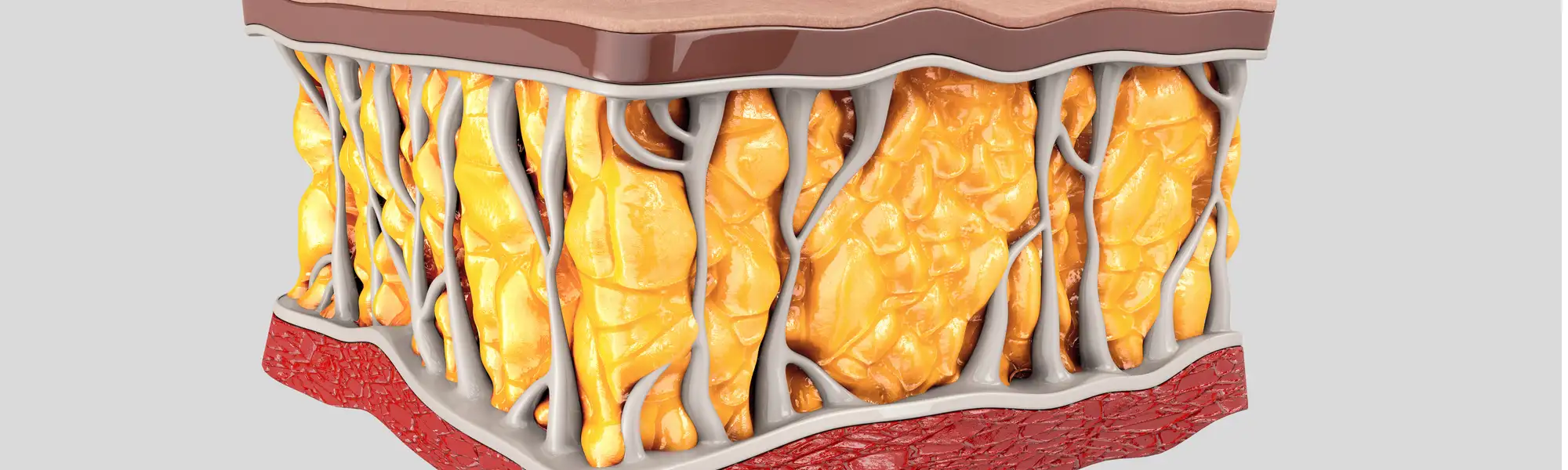 Adiponektyna – czy tłuszcz może być zdrowy?